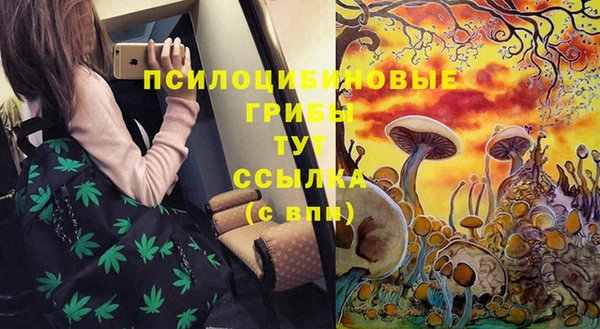 каннабис Алексин