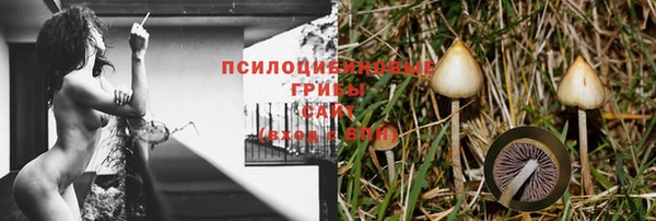 хмурый Алексеевка